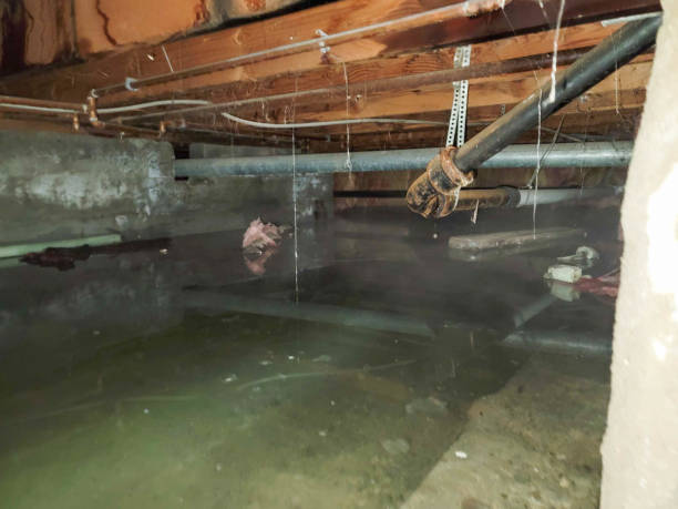 Best Water damage restoration near me  in Lake Dallas, TX