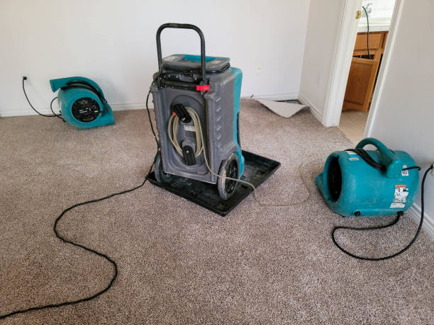 Best 24-hour water damage restoration  in Lake Dallas, TX