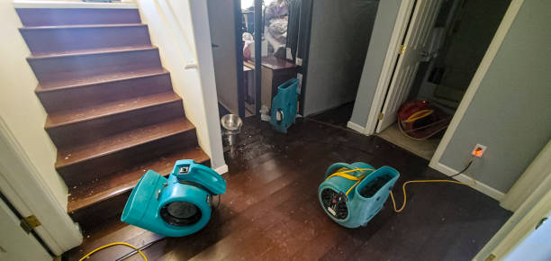 Best Professional water damage repair  in Lake Dallas, TX