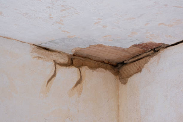  Lake Dallas, TX Water damage restoration Pros